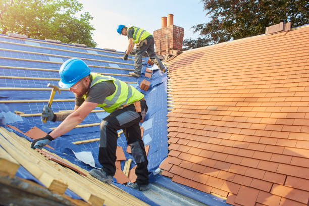 Vanguard Roofing Specialists Ltd